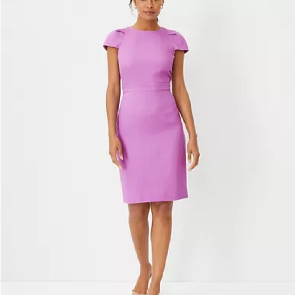 Ann Taylor Dress NWT